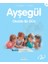 Ayşegül Okulda Bir Gün - Gilbert Delahaye 1