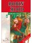 Robın Hood Gençlik Klasikleri - Howard Pyle 1
