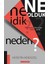 Ne İdik? Ne Olduk? Neden? 1