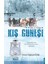 Kış Güneşi 1
