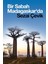 Bir Sabah Madagaskar'da 1