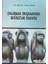 Çalışma Yaşamında Sessizlik Olgusu 1