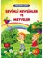 Sevimli Mevsimler ve Meyveler 1