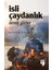 İsli Çaydanlık 1