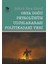Orta Doğu Petrolünün Uluslararası Politikadaki Yeri 1