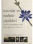 Toroslar ve Nadide Çiçekleri - Taurus Mountains and Their Precious Flowers 1