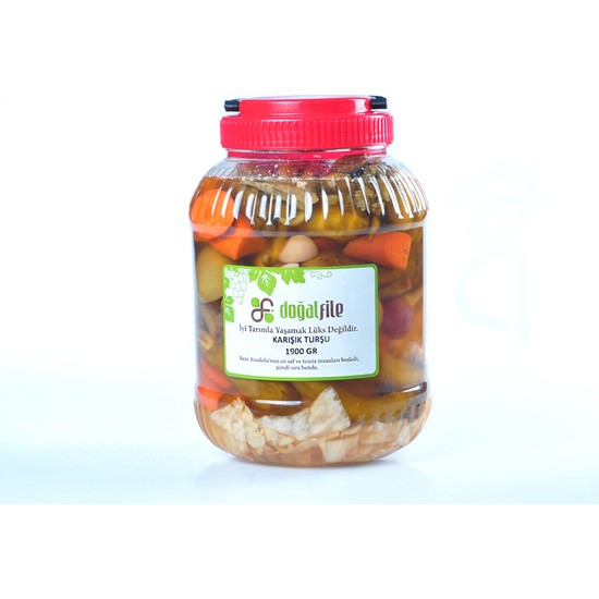 ev yapımı turşu fiyatı