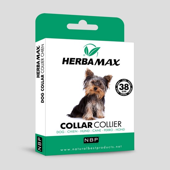 Herba Max Köpek Tasması Fiyatı, Taksit Seçenekleri ile Satın Al
