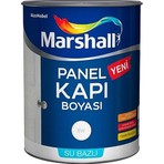Marshall 1 Lt Marshall Panel Kapı Boyası