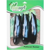 Sunagri Kemer Patlıcan Tohumu