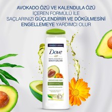 Dove Dökülmeye Karşı Bakım Şampuanı Avokado ve Kalendula Özleri 400 ml - 3'lü