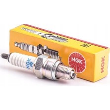 NGK CR9E Ngk Buji