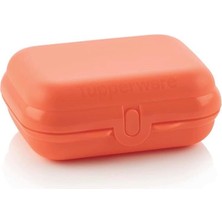 Tupperware Istiridye Küçük Boy Mini Saklama Kabı Hsgl