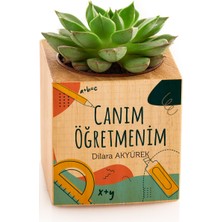 Hediye Sepeti Canım Öğretmenim Hediye Kişiye Özel  Saksılı Sukulent Naturacube