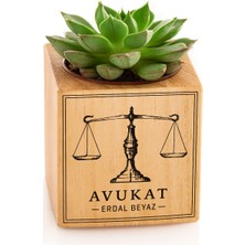 Hediye Sepeti Hediyesepeti Avukata Hediye Adalet Terazisi Isme Özel Baskılı Sukulent Naturacube