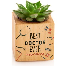 Hediye Sepeti Hediyesepeti Gelmiş Geçmiş En Iyi Doktor Mesajlı Isme Özel Sukulent Naturacube