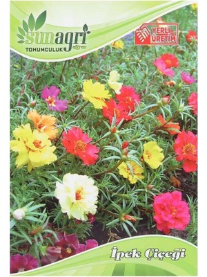Sunagri Tohumculuk Sunagri Ipek Çiçeği Tohumu