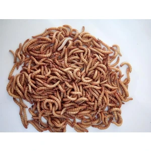 Unkurdu 50 gr