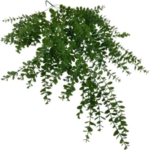 Yapay Çiçek Sarkan Şimşir Okaliptus Jumbo Boy 75*35CM Yapay Sarmaşık