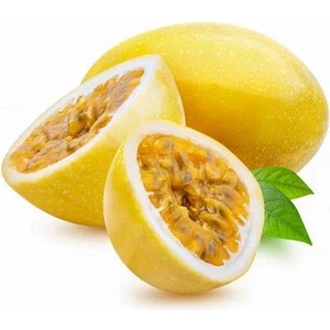 Berke Fidancılık Sarı Meyveli Çarkıfelek Passiflora Edulis Panama Gold
