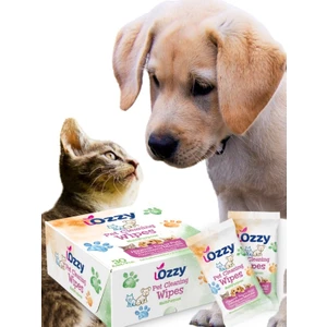 Pati veTüy Temizleme Mendili 30 Adet * 2 pk