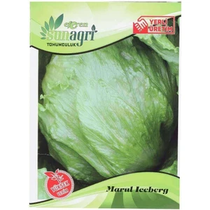 Iceberg Marul Tohumu