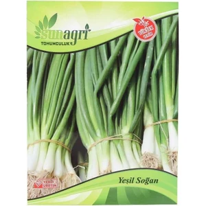 Yeşil Soğan Tohumu