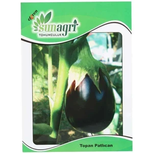 Topan Patlıcan Tohumu