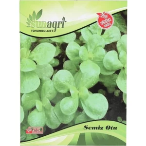 Semiz Otu Tohumu