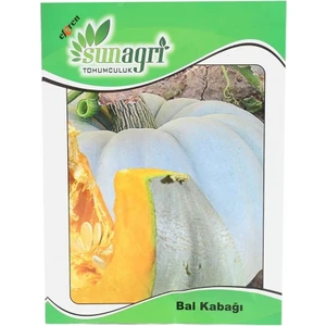 Bal Kabağı Tohumu