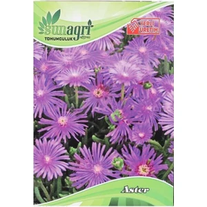 Sunagri Tohumculuk Sunagri Aster Süs Çiçek Tohumu