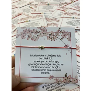 Miss Lida Yıldız Marteniçka