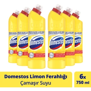 Çamaşır Suyu Limon Ferahlığı 750 ml - 6'lı Paket