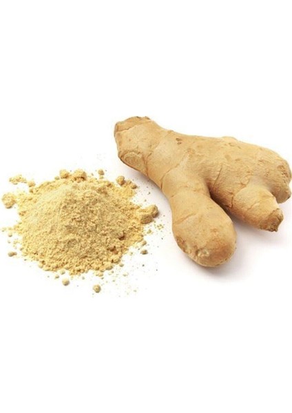 Zencefil Toz 500 gr fiyatları
