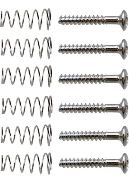 6 Adet Elektro Gitar Tek Bobin Pikap Ayarlama Vidalar Set 20.2X3MM Gümüş
