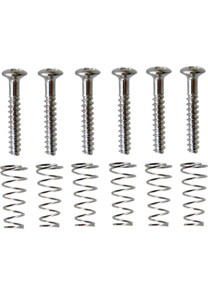 6 Adet Elektro Gitar Tek Bobin Pikap Ayarlama Vidalar Set 20.2X3MM Gümüş