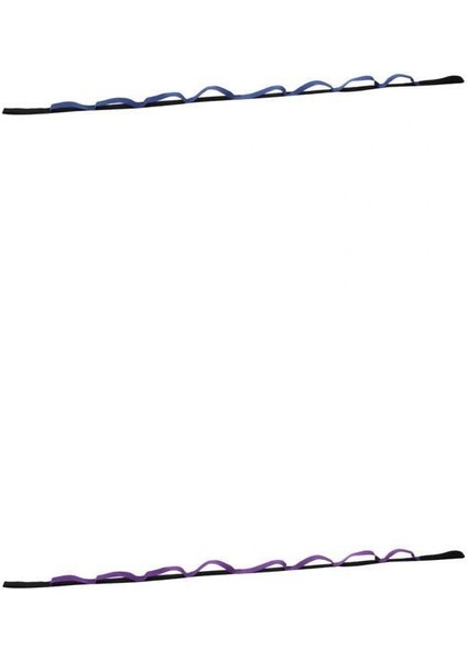 2 Adet / Takım Yoga Papatya Zincir Sling Yüzük Bandaçları Halatlar 200CM - Mor + Mavi (Yurt Dışından)