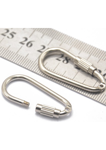 6 Adet D Şekli Karabina Klipsi Snap Kanca Küçük Anahtarlık Kamp Karabiner Gümüş (Yurt Dışından) modelleri