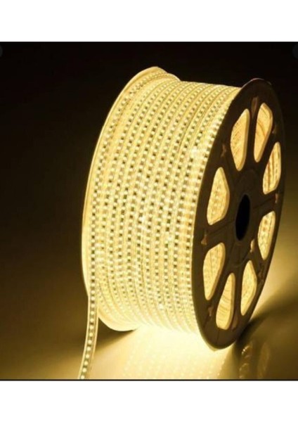 220V Hortum LED Şerit 5050 3çip 60 LED Günışığı