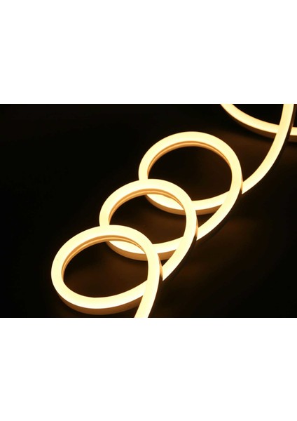 12V Neon Şerit LED 4000K