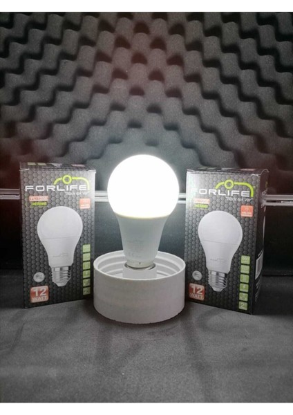 12W Dimli E27 LED Ampul Beyaz
