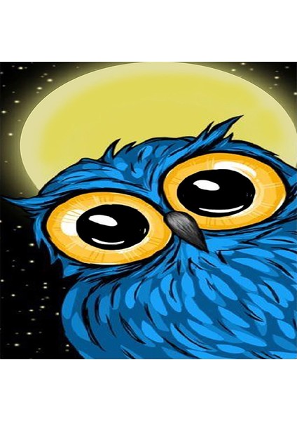 Gece Baykuş Desenli Halı Dijital Baskı Yıkanabilir Kaymaz Taban Leke Tutmaz Çocuk Odası Halısı