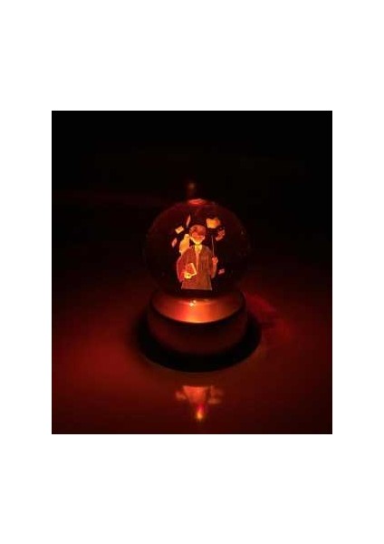 Harry Potter Baykuş ve Kitap Figürlü Kristal Işıklı Cam Küre