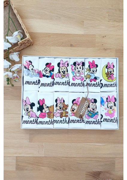Aylık Kız Badi Set 12 Ay Her Ay Özel Mickey Baskılı Uzun Kollu Çıtçıtlı Kız Body