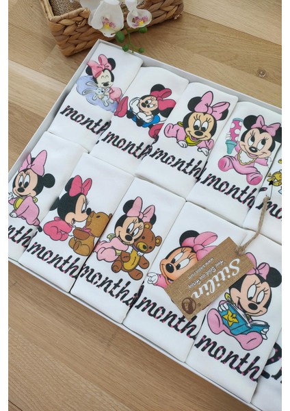 Aylık Kız Badi Set 12 Ay Her Ay Özel Mickey Baskılı Uzun Kollu Çıtçıtlı Kız Body modelleri