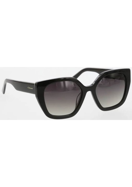 3310 52 18 140 01 Kadın Güneş Gözlüğü