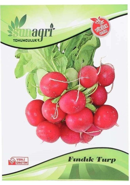 Fındık Turp Tohumu