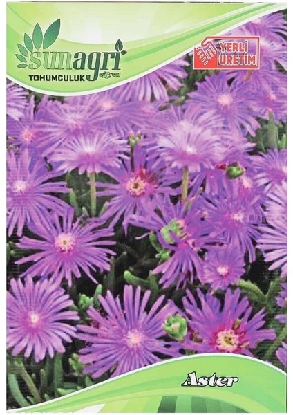 Sunagri Aster Süs Çiçek Tohumu