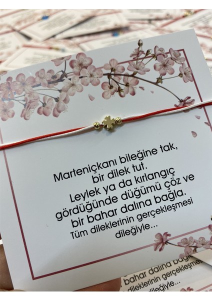 Yonca Marteniçka modelleri