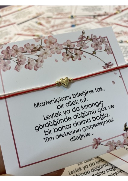 Kalp Marteniçka modelleri